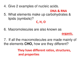 ppt macromolecules review ws