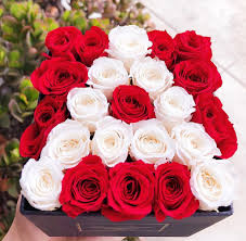 The flowers appear during the spring or summer, depending on the species, and the flowers are clusters of white blossoms, which don't make good cut flowers. Our Flower Gift Boxes Come In Many Colors Sizes And Shapes