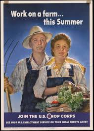 Work on a Farm... This Summer - Propaganda Posters - WSU Libraries Digital  Collections