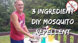 3 ing diy mosquito repellent