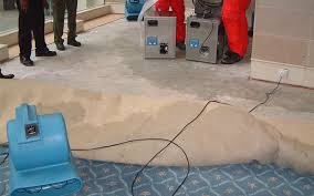 carpet recovery from flood damage