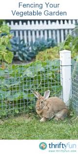fencing your vegetable garden