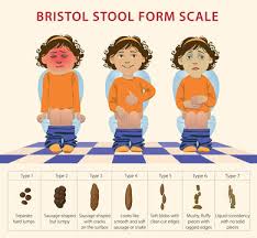 bristol stool chart images browse 60