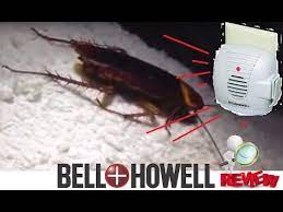 What to do if you see a cockroach. Bell Howell Ultrasonic Pest Repeller Review Unboxing Works Palmetto Bugs Roaches Insects Kitchen Youtube
