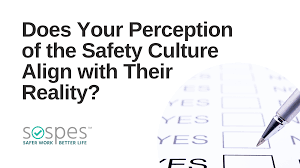 perception of the safety culture align