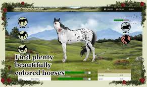 Care for and train your own stable of horses, breed the perfect champion, manage a homestead ranch, and race for victory! Wild Horse S Valley C Freedom For Horses