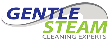 edmonton carpet and furniture cleaning