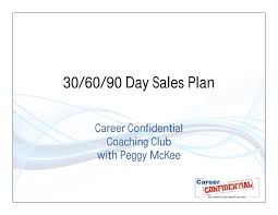 12 30 60 90 Day Sales Plan Examples Pdf Word Examples