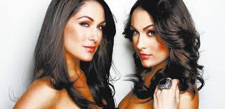 nikki bella reveals why her sister brie