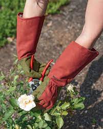 Balayage Hair Red Climbing Roses Gloves