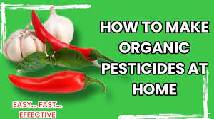 how to make organic pesticide at home