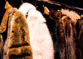 Fur Coat Industry