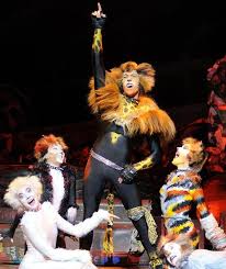 dawn williams life on tour in cats