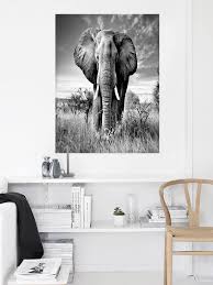 1pc Elephant Picture Canvas Print Wild