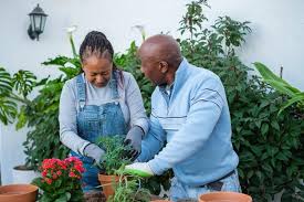 Premium Photo Middleaged Couple