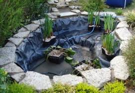 Garden Pond Design Small Water Gardens