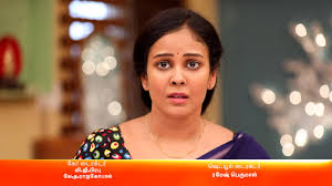 Chandini Tamilarasan - Celebrity Style in Rettai Roja Episode 431, 2021 from Episode 431. | Charmboard