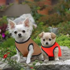 4 pieces fall dog shirt for small dogs