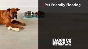 pet friendly flooring you