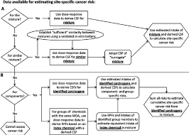 Flowchart For Estimating Site Specific Cancer Risk The