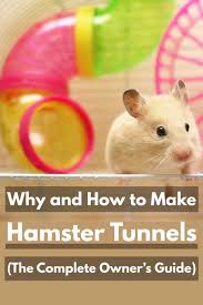why and how to make hamster tunnels