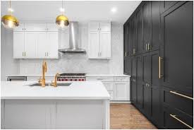 Since we're all still cooped up, 2021 is the perfect year to invest in your dream kitchen. The Place Can You Purchase Kitchen Cupboards
