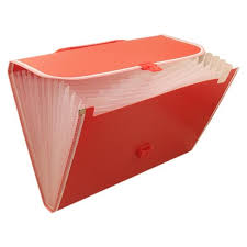 lizard small accordion file in orange