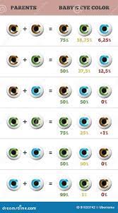 baby eye color predictor likelihood of