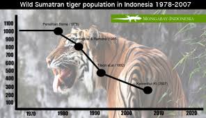 Deforestation Drives Tigers Into Contact Conflict With Humans