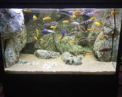 aquarium backgrounds and premium