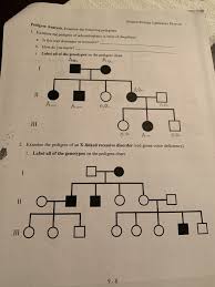 Solved General Biology Laboratory Exercise Pedigree Analy