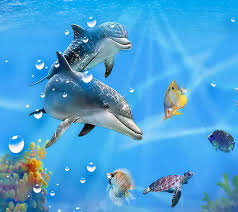 dolphins underwater hd wallpaper peakpx
