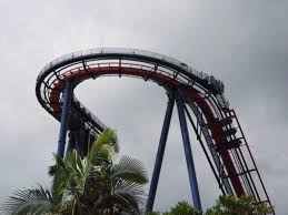 atop sheikra roller coaster