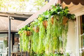 Cool Hanging Planter Ideas For Outside