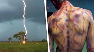 ÐаÑÑинки по запÑоÑÑ ÐÑди, живоÑнÑе и молниÑ