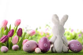 Desktop bilder ostern kostenlos : Desktop Hintergrundbilder Ostern Kaninchen Ei Feiertage
