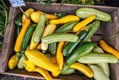 Is yellow squash good for high blood pressure?