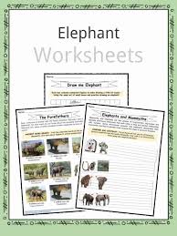 Elephant Facts Worksheets Habitat And Information For Kids