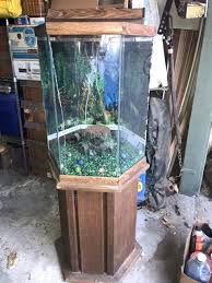 Hexagon Aquarium Tank Gallon Fish For Sale Free House