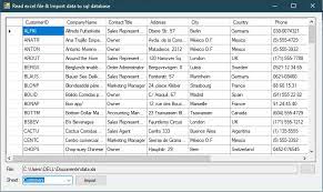 import data from excel to sql server