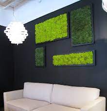 Moss Is New Paint How To Create Art