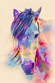 hd rainbow horse wallpapers peakpx