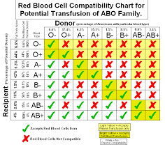Blood Types Compatibility Human Blood Types And The Genetics