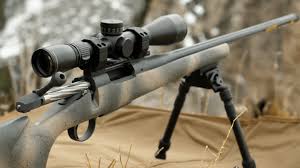 the best rimfire scope for 22lr in 2023