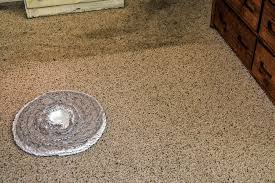 carpet cleaning in eagle co belmont
