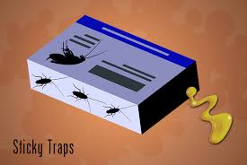 roach traps for beating roaches