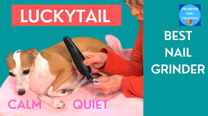 luckytail best dog nail grinder quiet