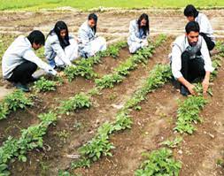 b sc agriculture course admission