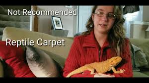 substrate for bearded dragons you