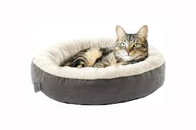 pet beds for your dog or cat